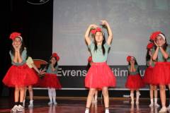 Evrensel Kolej